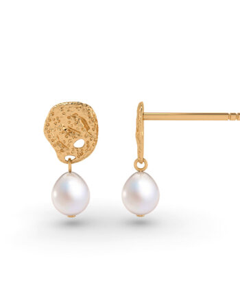 Brasilia ørestikker