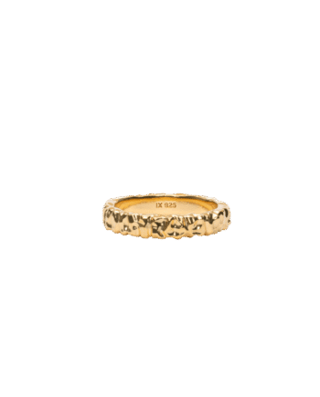 Ix Crunchy Class Ring