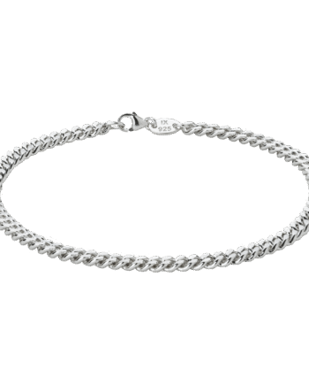 Ix Curb Anklet Silver