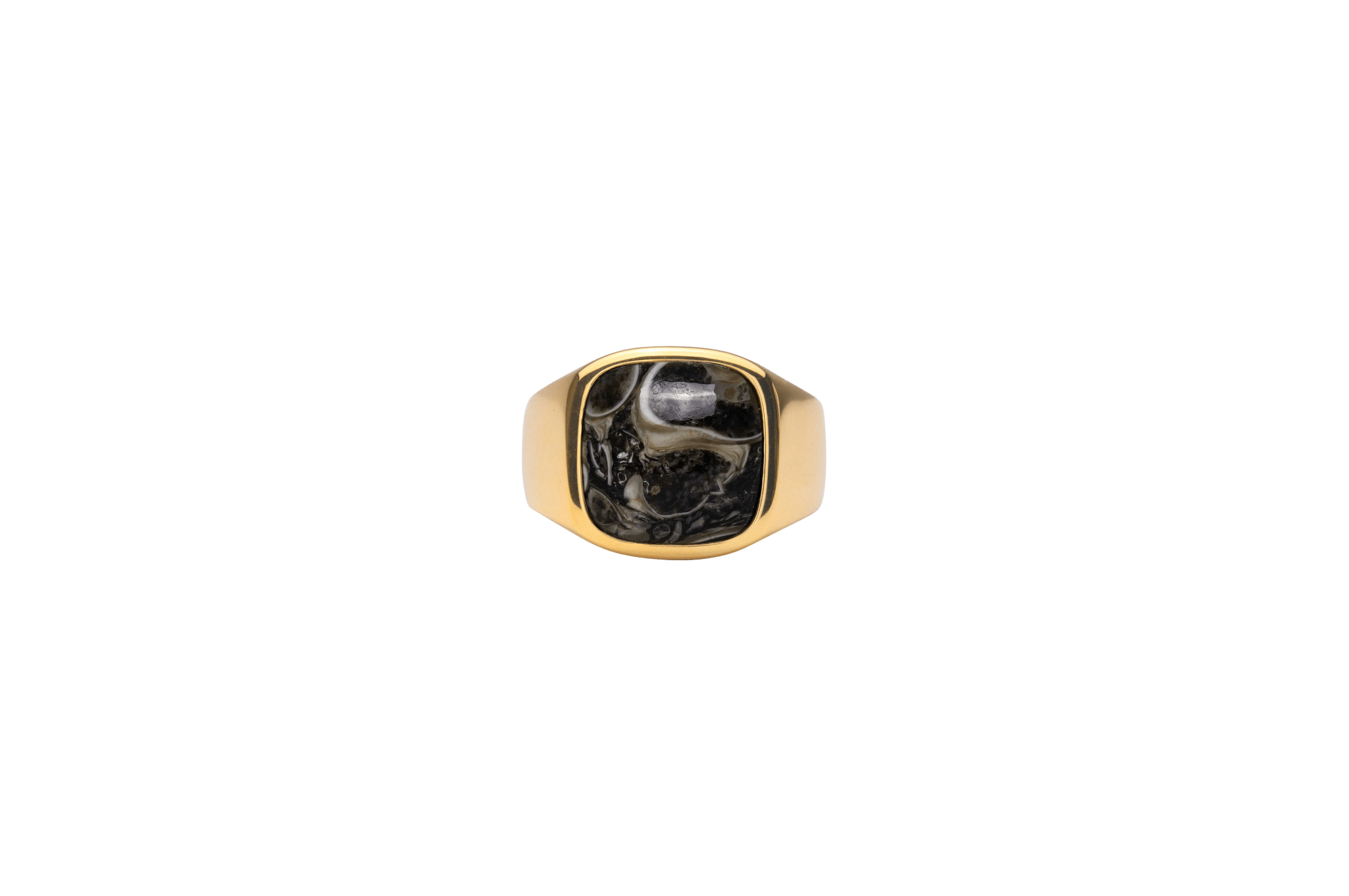 Ix Cushion Signet Ring Turtle Agate