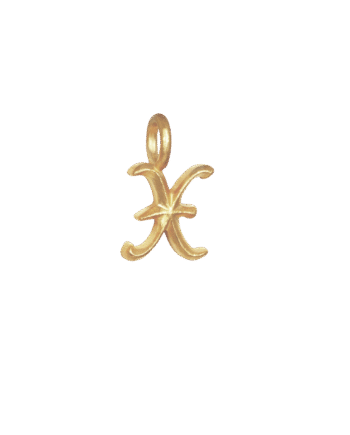 Ix   Ice Charm