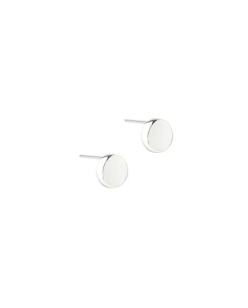 Big Globe Earrings    Silver