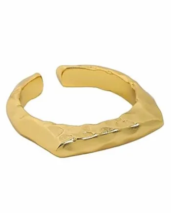 Forgyldt 14k Sterling Sølv Ring
