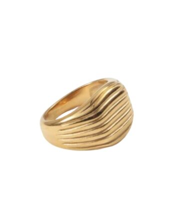 Signet Lines 54