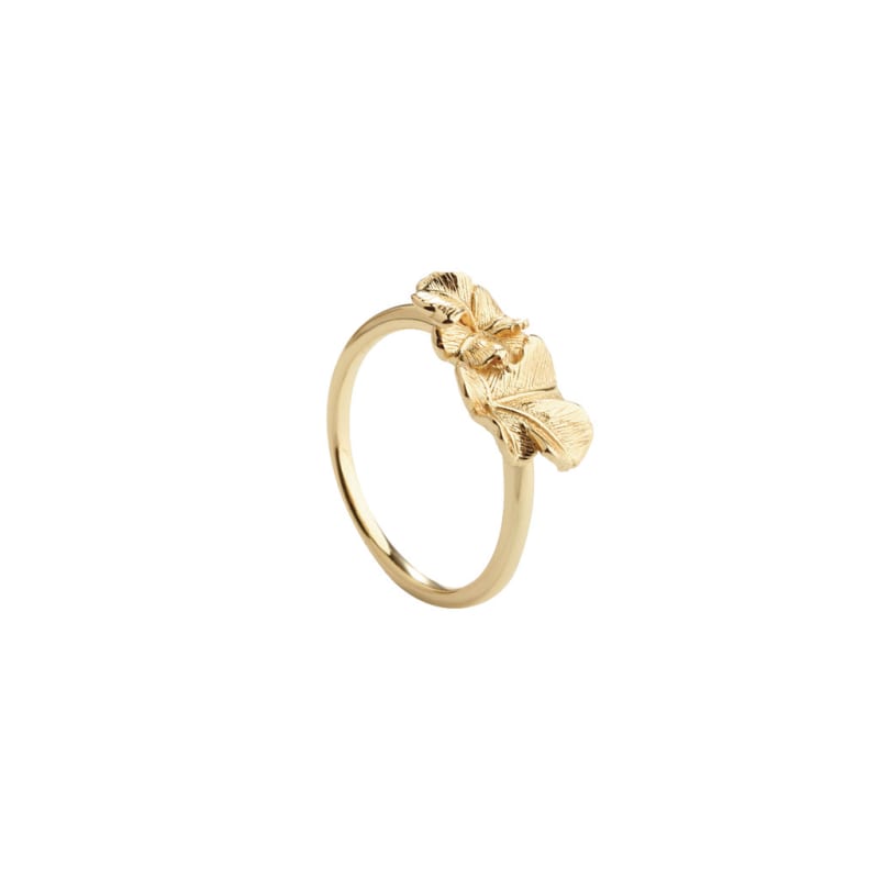 Folio Ring 60   Golden