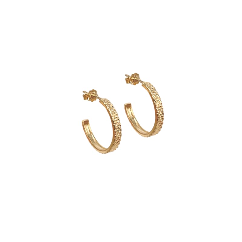 Isabel Hoop   Golden