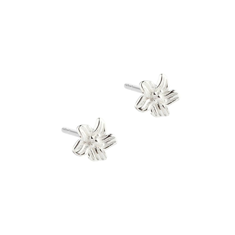 Jasmin Small Earstud   Silver