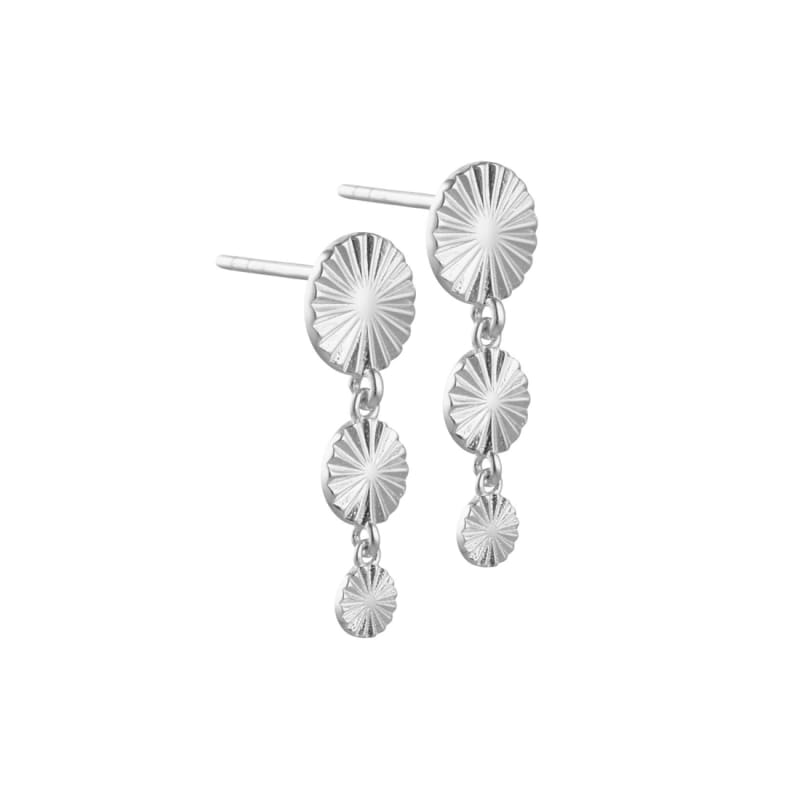Line Coin Long   Silver